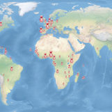 Spiritans In The World Pins Size