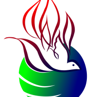 Cssp Us Logo