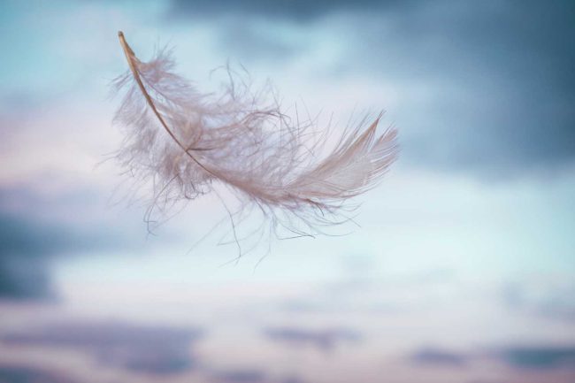 Feather