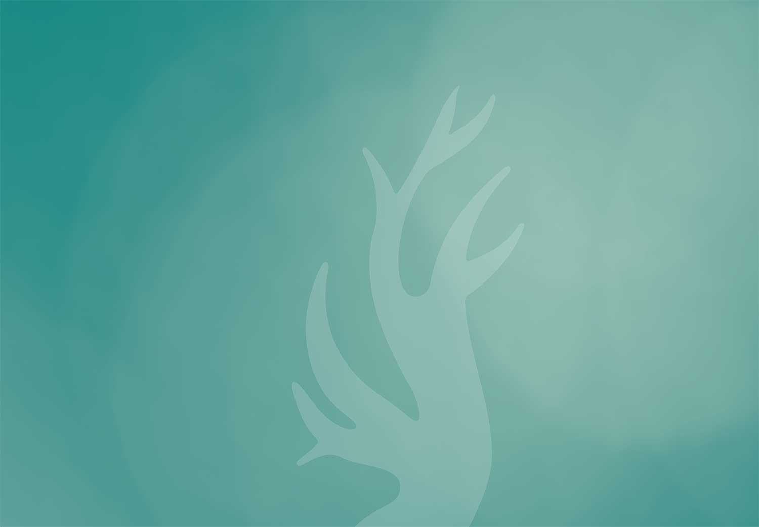 Guide for Spiritan Formation 2026